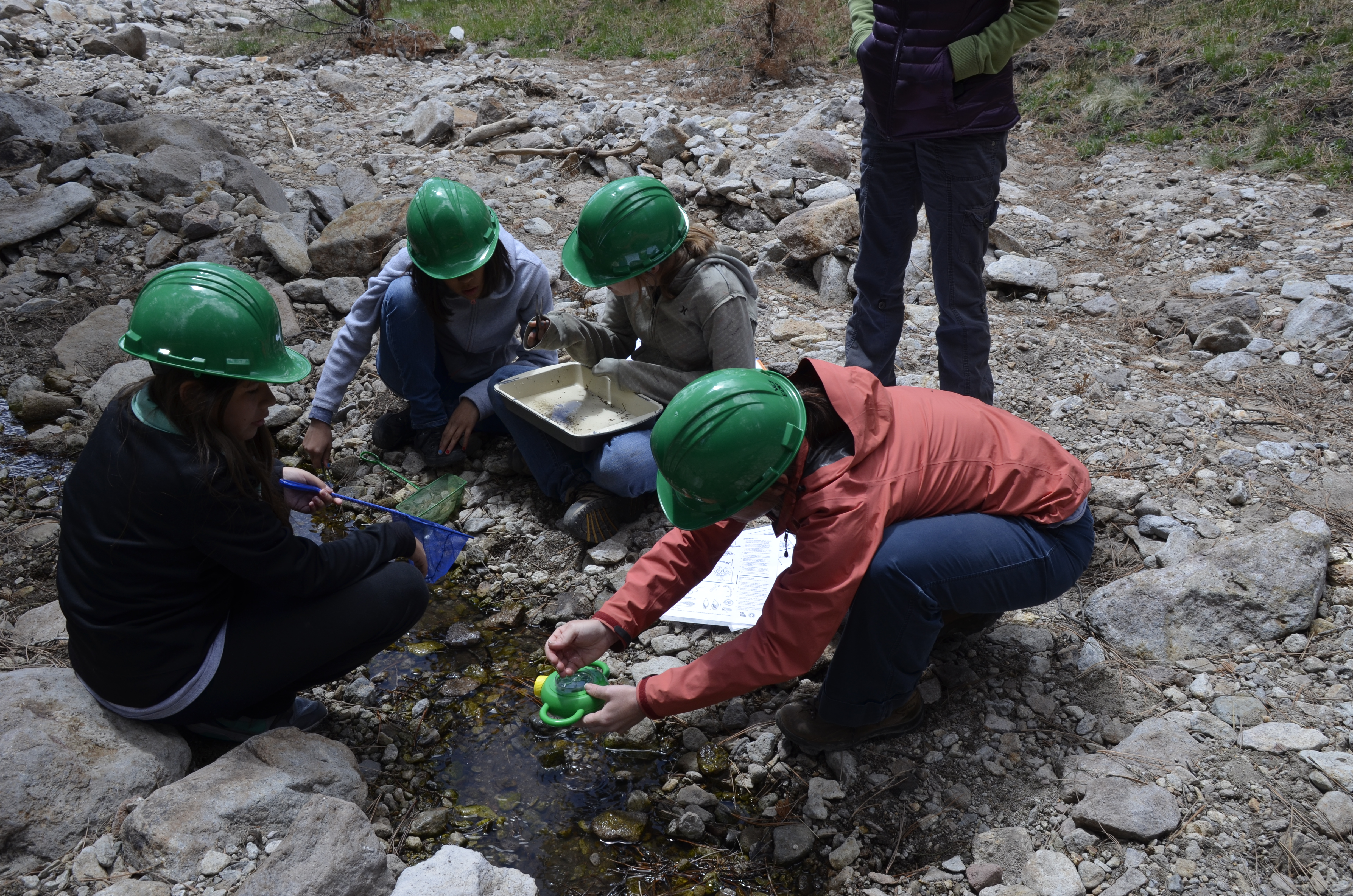 Students taking water samples on field trip at the Valles Caldera