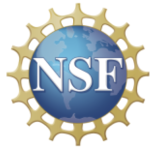 NSF logo