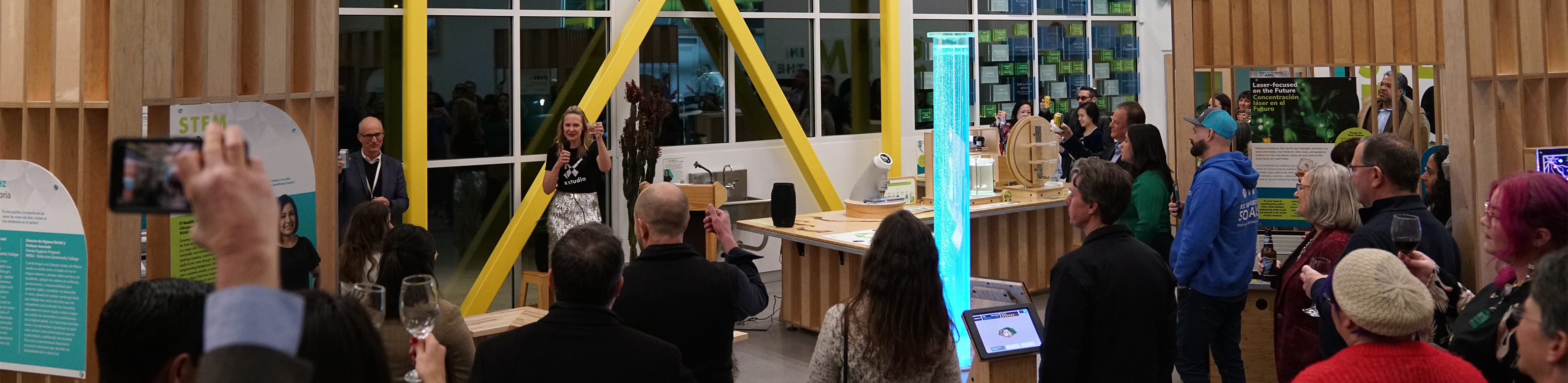 woman giving speech and toast at event